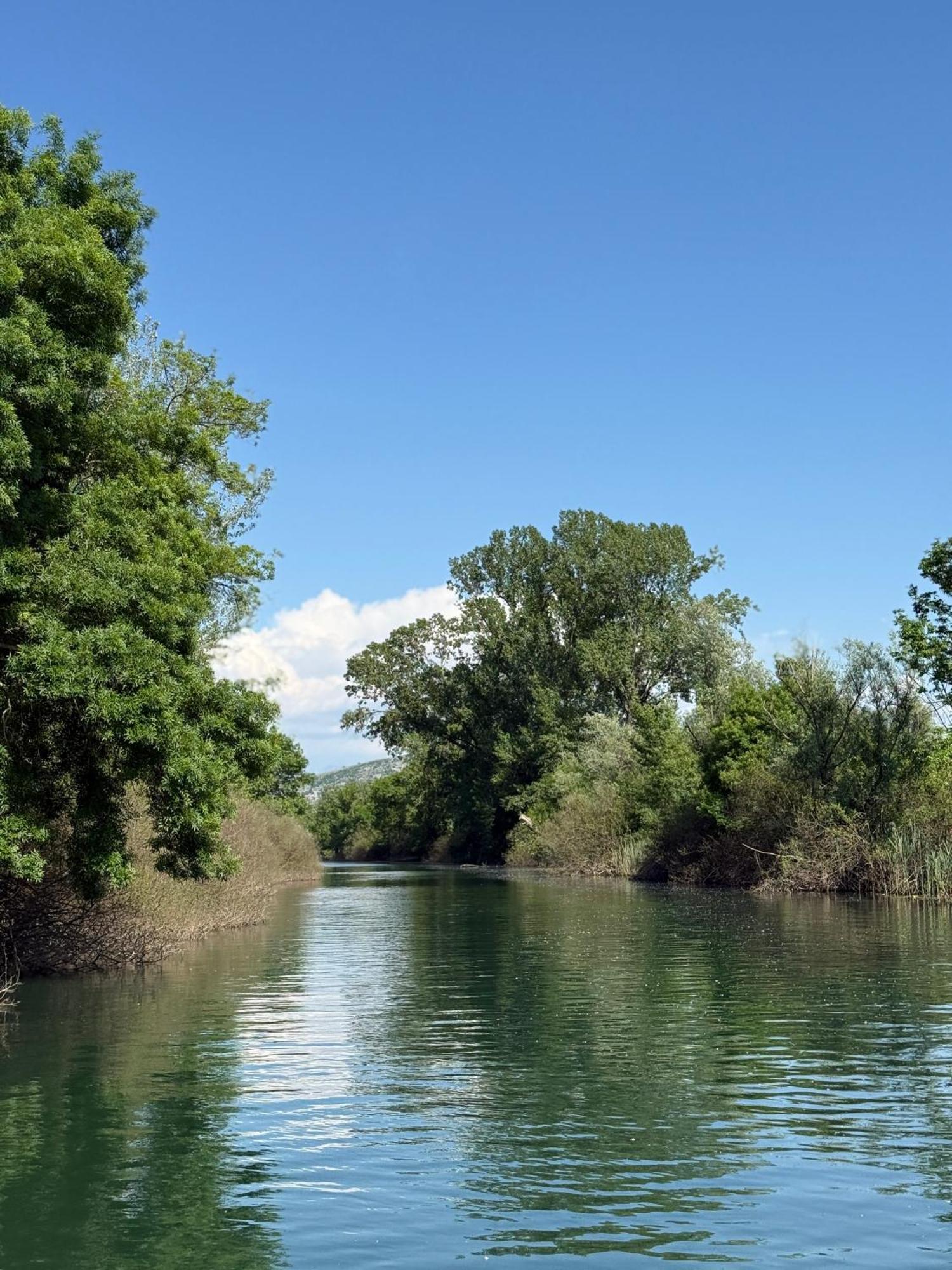 Lake Skadar Paradise Dodosi Εξωτερικό φωτογραφία